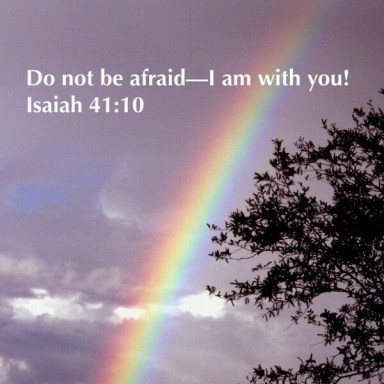 6a00d83451aa3c69e201b7c6f331c5970b