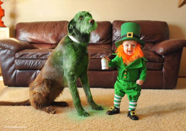 Real-life-leprechaun-dog
