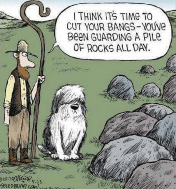 Screen Shot 2019-03-06 at 11.17.05 AM